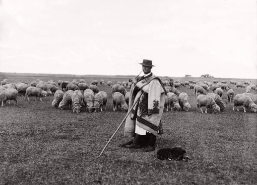 Pásztorhagyományok: élő örökség, közös felelősség